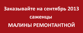 ���� ������ ������������ �� ����� 2013!